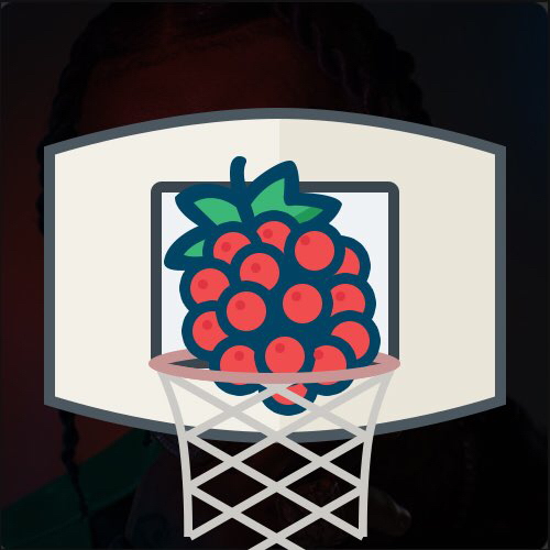 小红莓篮球